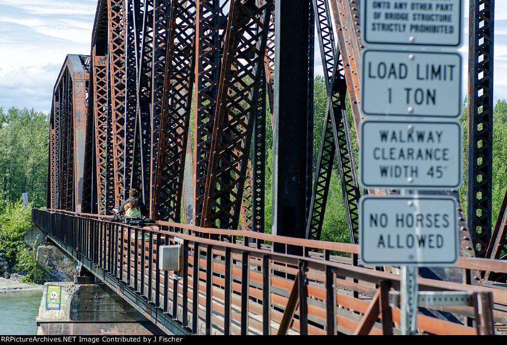 Talkeetna River bridge